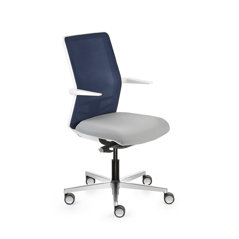 EQUIS Estructura Blanca